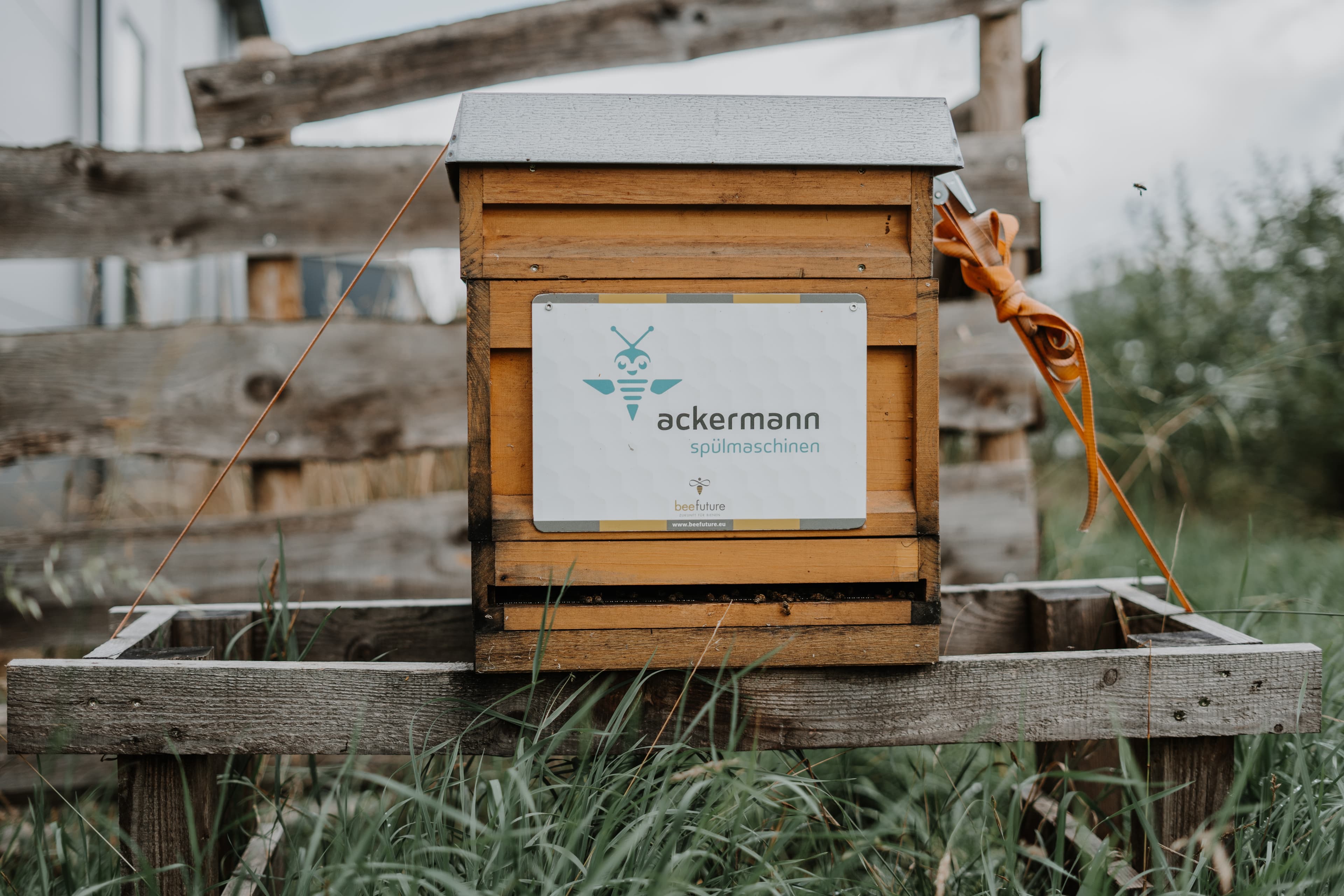 Bienenvölker der Ackermann Spülmaschinen GmbH